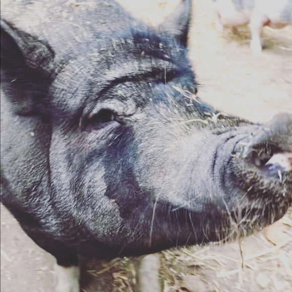 MEET THE WITCH! - Picture 6 of 12